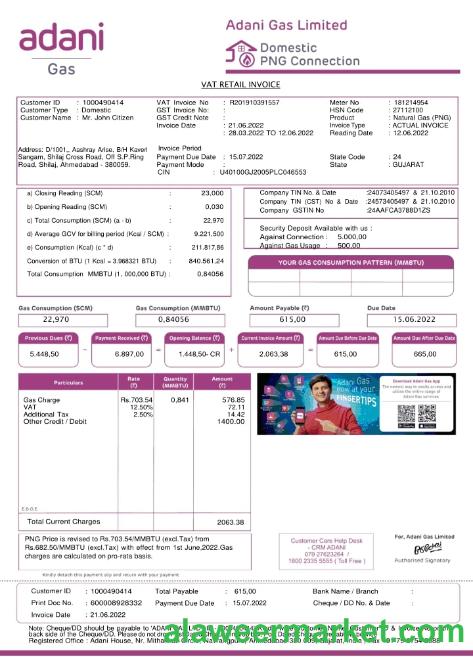 India Adani utility bill
